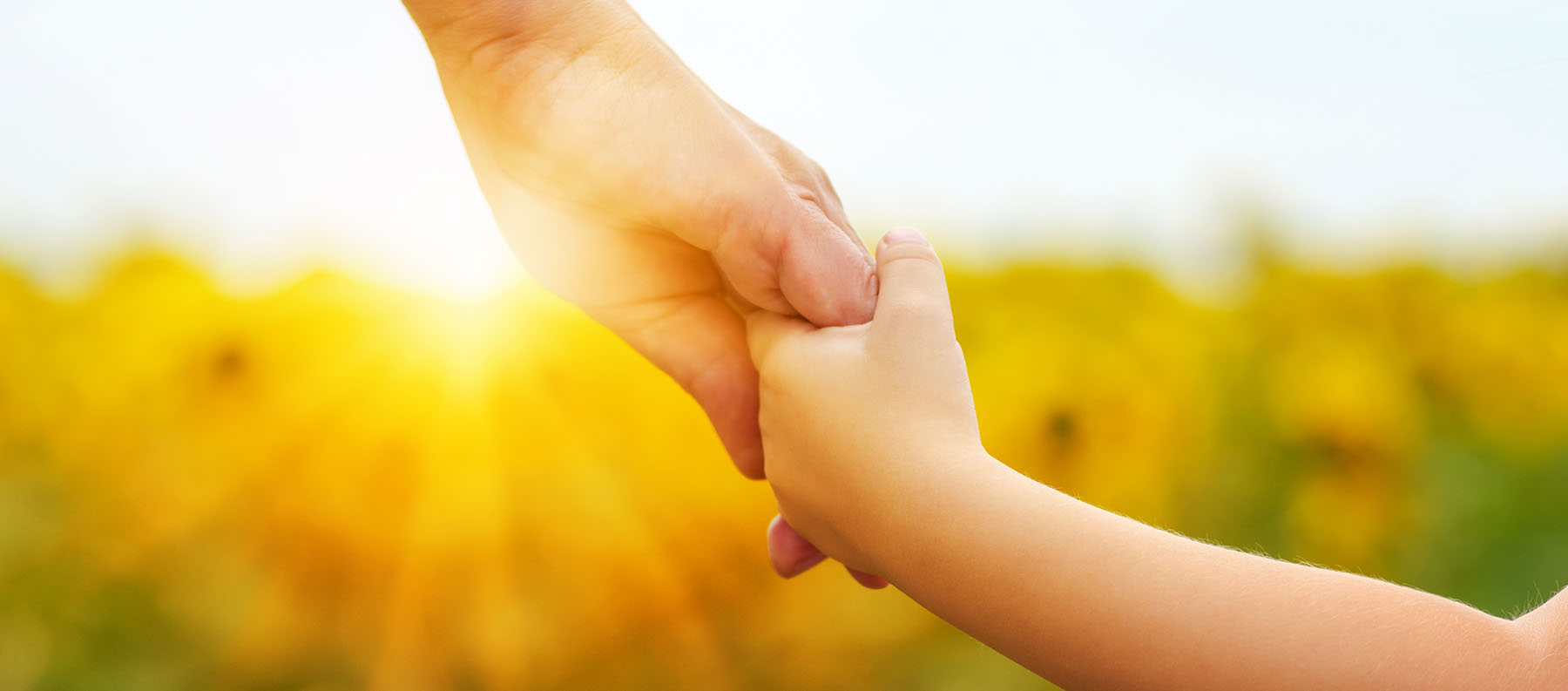 Holding a childs hand with blurred summer background