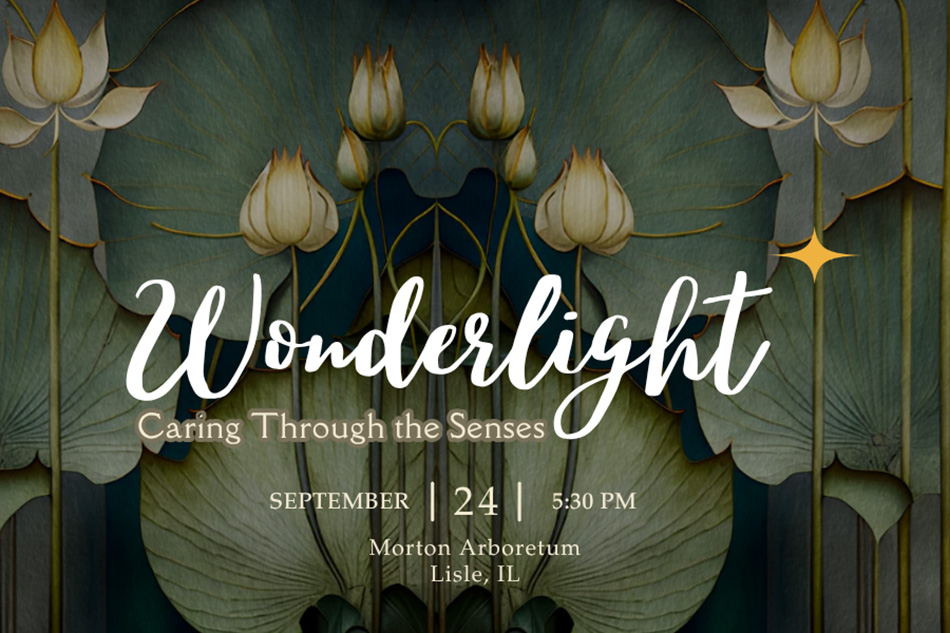 Photo of flowers with text Wonderlight 2026