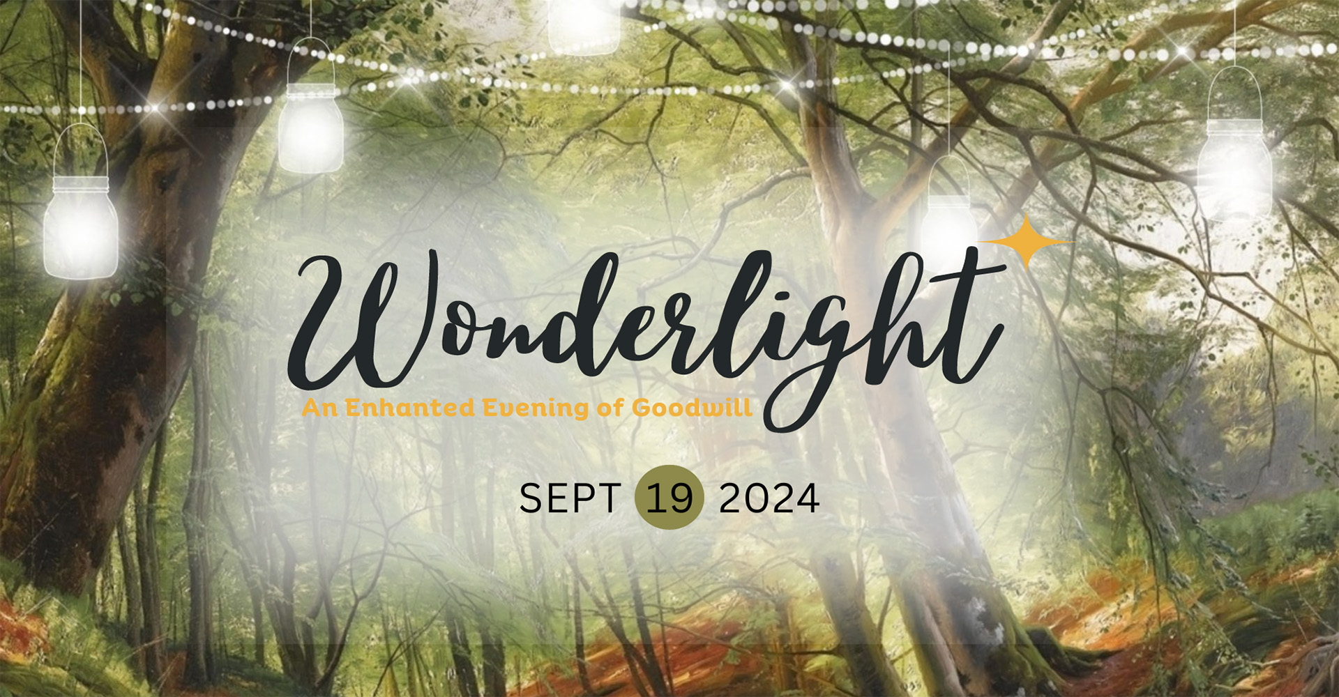 Photo of forest trees with light and copy: Wonderlight Sept. 2024